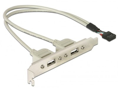Планка корпусна USB2.0 Ax2-PinHeader (планка) Delock(70.07.1000) 0.30m Slot Bracket 70.07.1000 фото