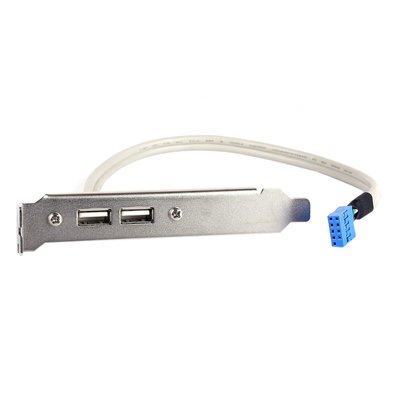 Планка корпусна USB2.0 Ax2-PinHeader (планка) Lucom(62.09.8056) 0.30m Slot Bracket 62.09.8056 фото