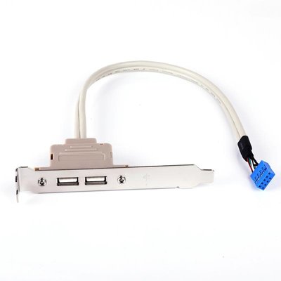 Планка корпусна USB2.0 Ax2-PinHeader (планка) Goobay(75.09.3035v) 0.20m Slot Bracket 75.09.3035 фото