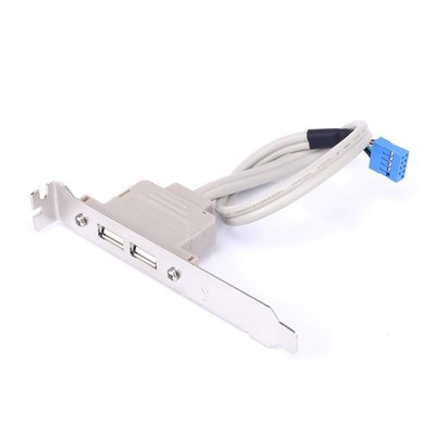 Планка корпусна USB2.0 Ax2-PinHeader (планка) Lancom(78.01.4334) 0.30m Slot Bracket 78.01.4334 фото
